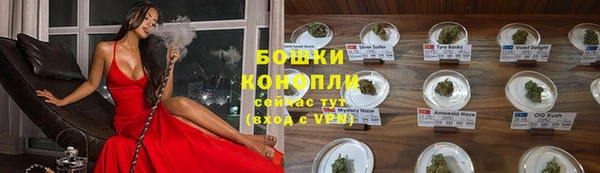 PSILOCYBIN Каменск-Шахтинский